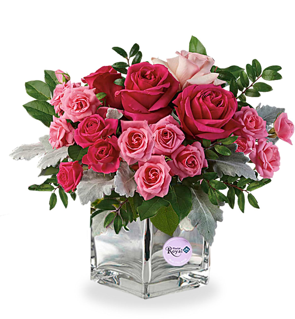 Vibrant Pink Passion